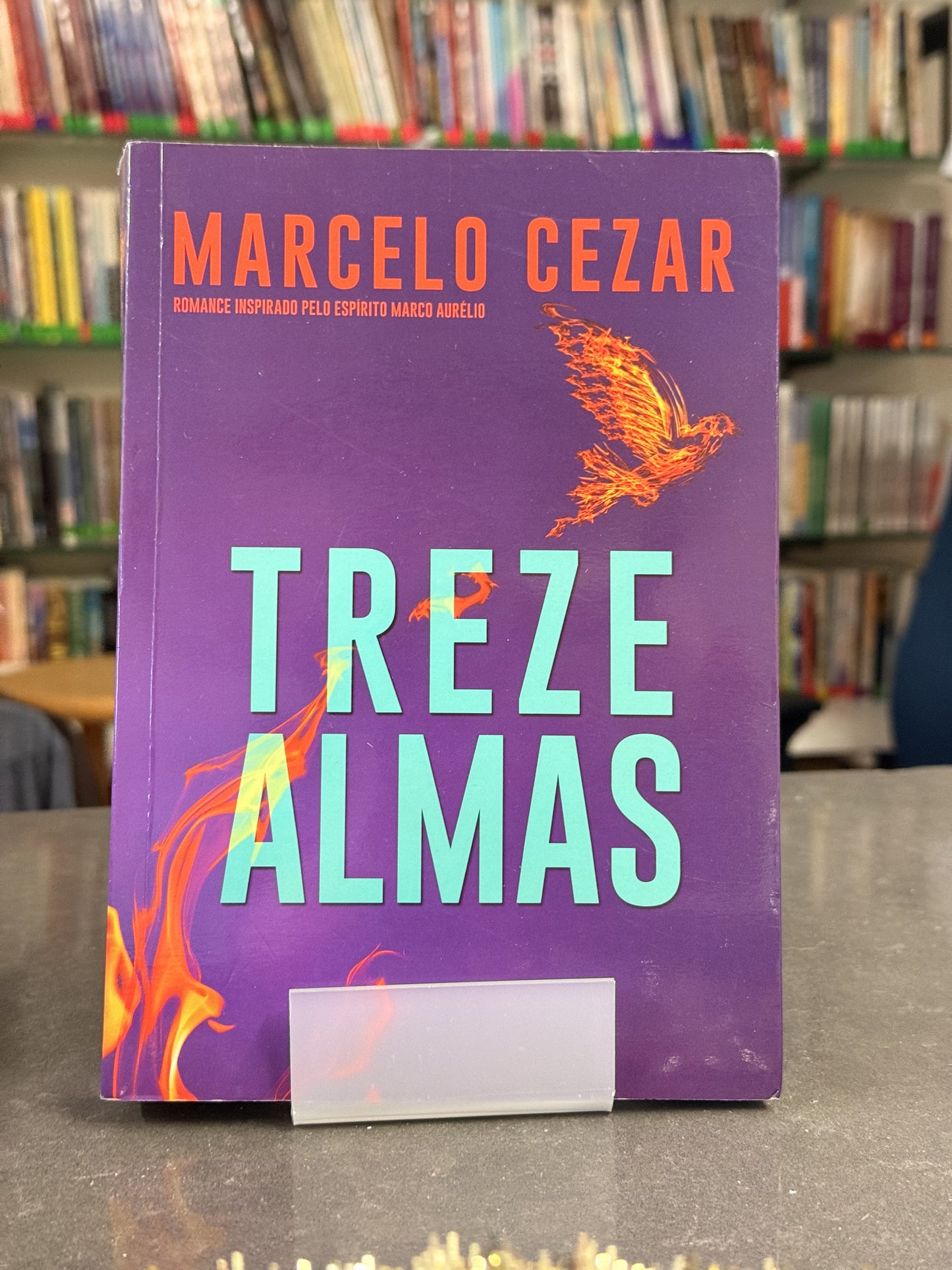 Treze Almas