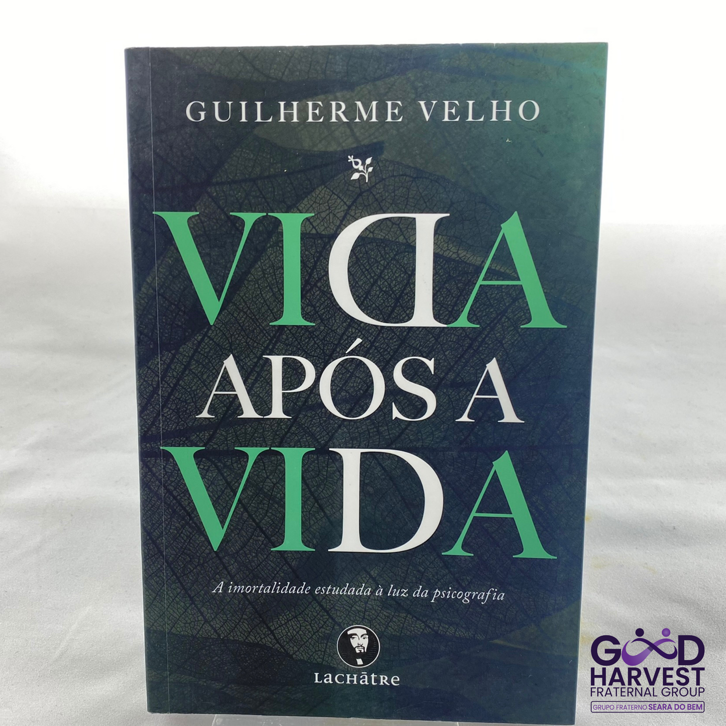 Vida Após a Vida - Guilherme Velho